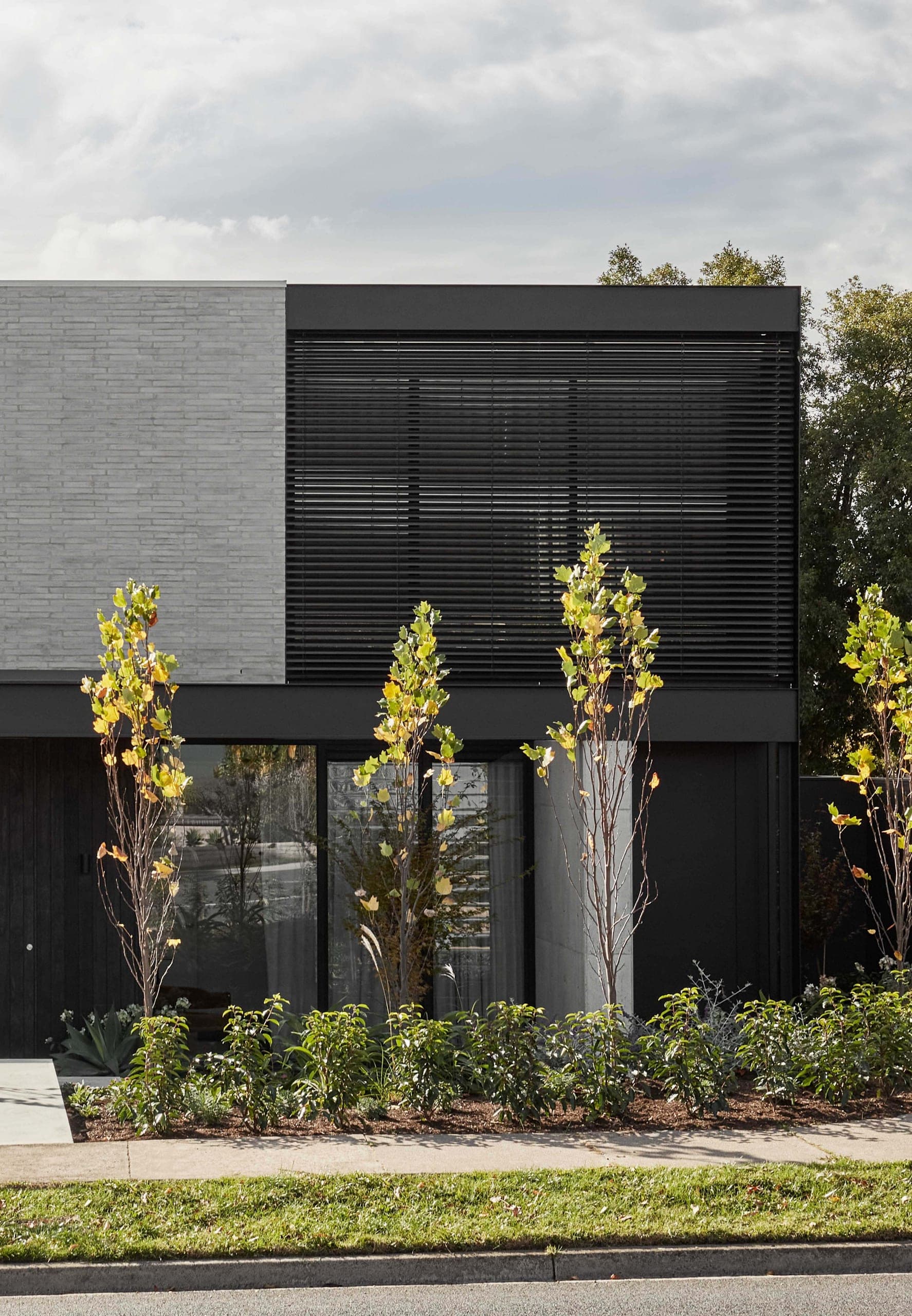Belmore II — Melbourne — Webster Architecture & Interiors
