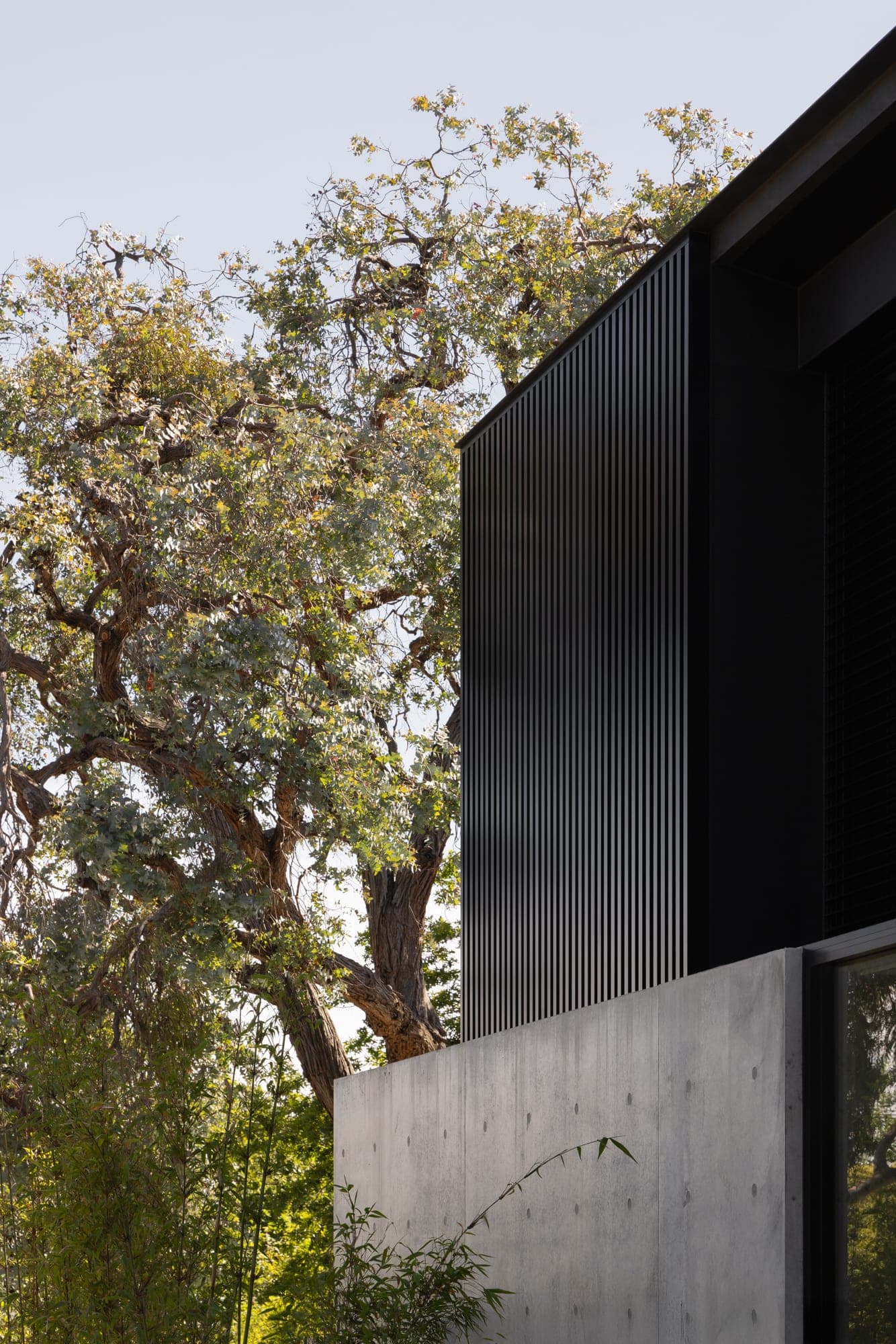 Rosedale — Glen Iris, Victoria — Webster Architecture & Interiors
